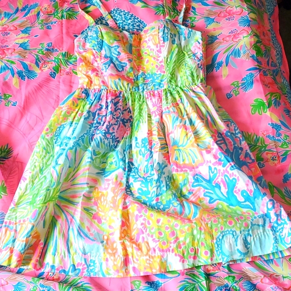 Lilly Pulitzer Mini Dress - Picture 1 of 6